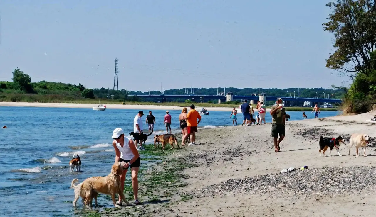pet friendly travel beach fishermans cove conservation area nj LE upscale strong tone enhance 30 color enhance 30