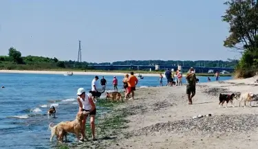 pet friendly travel beach fishermans cove conservation area nj LE upscale strong tone enhance 30 color enhance 30